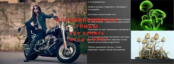 jwh Володарск