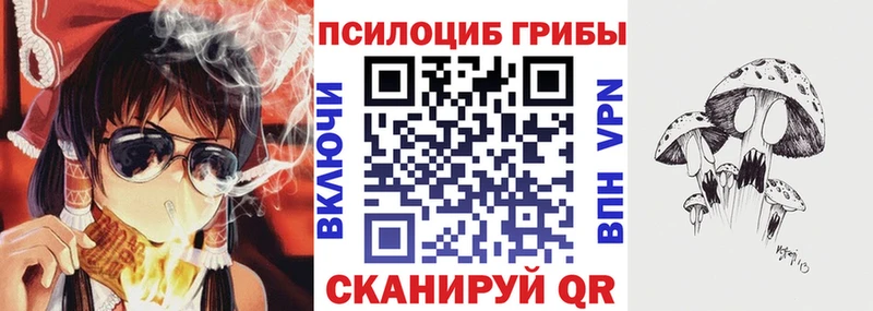 Псилоцибиновые грибы прущие грибы  Купить где  Ростов 