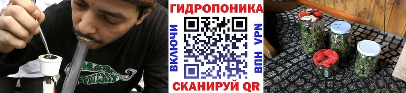 Марихуана план  Купить где  Ростов 